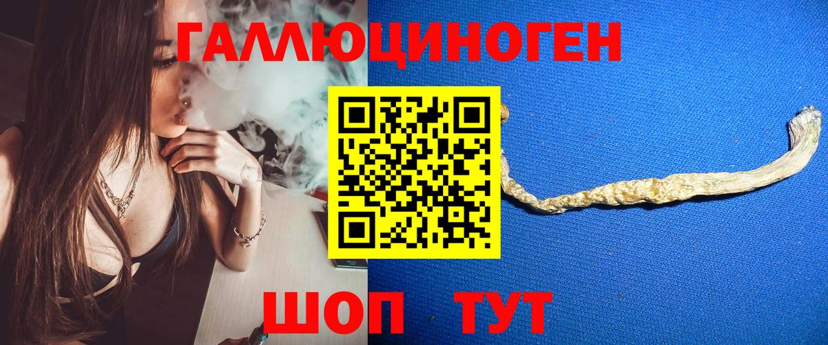 Галлюциногенные грибы Magic Shrooms  Вход с VPN  Дмитров 